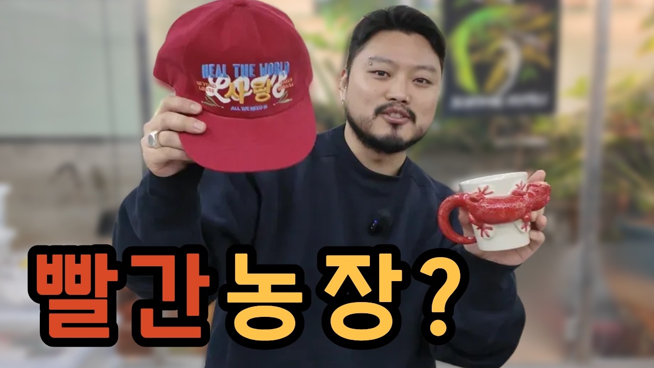 앞으로 초초의 전망은?? 크레스티드게코 브리딩