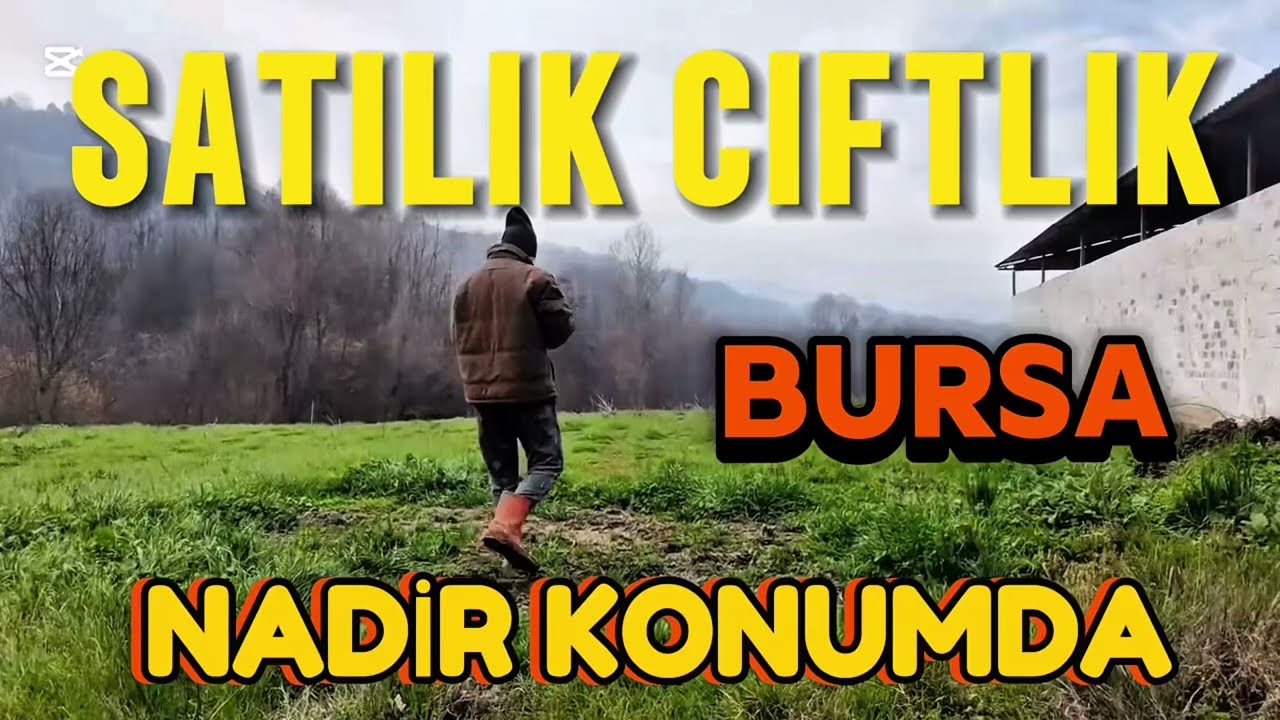 SATILIK ÇİFTLİK (BURSA/İNEGÖL) İletişim: 05332049600 🏡