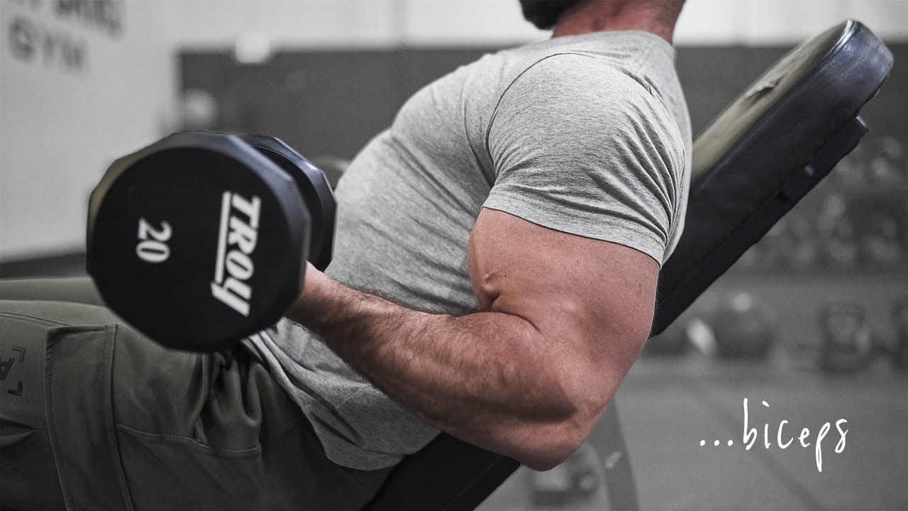 4 Bicep Exercises (YOU NEED TO DO!!)