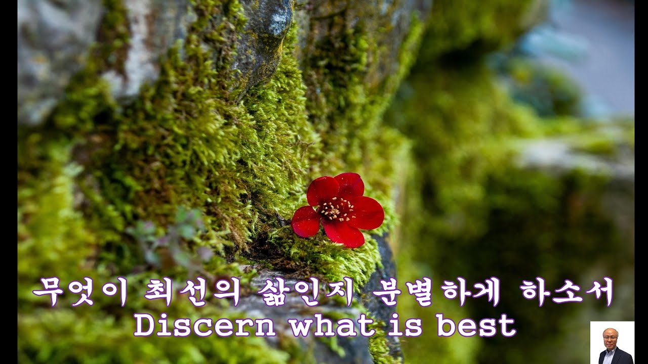 무엇이 최선의 삶인지 분별하게 하소서.  Discern what is best. 빌립보서 1장 1-9절.  Living Water Missions.  권오돈 목사