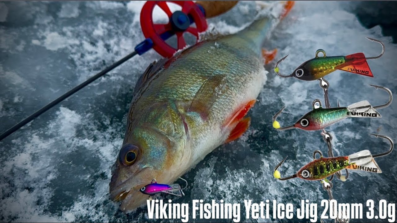 ЗИМА 2026|КРУПНЫЙ ОКУНЬ НА БАЛАНСИР Viking Fishing Yeti Ice Jig 20mm 3.0g