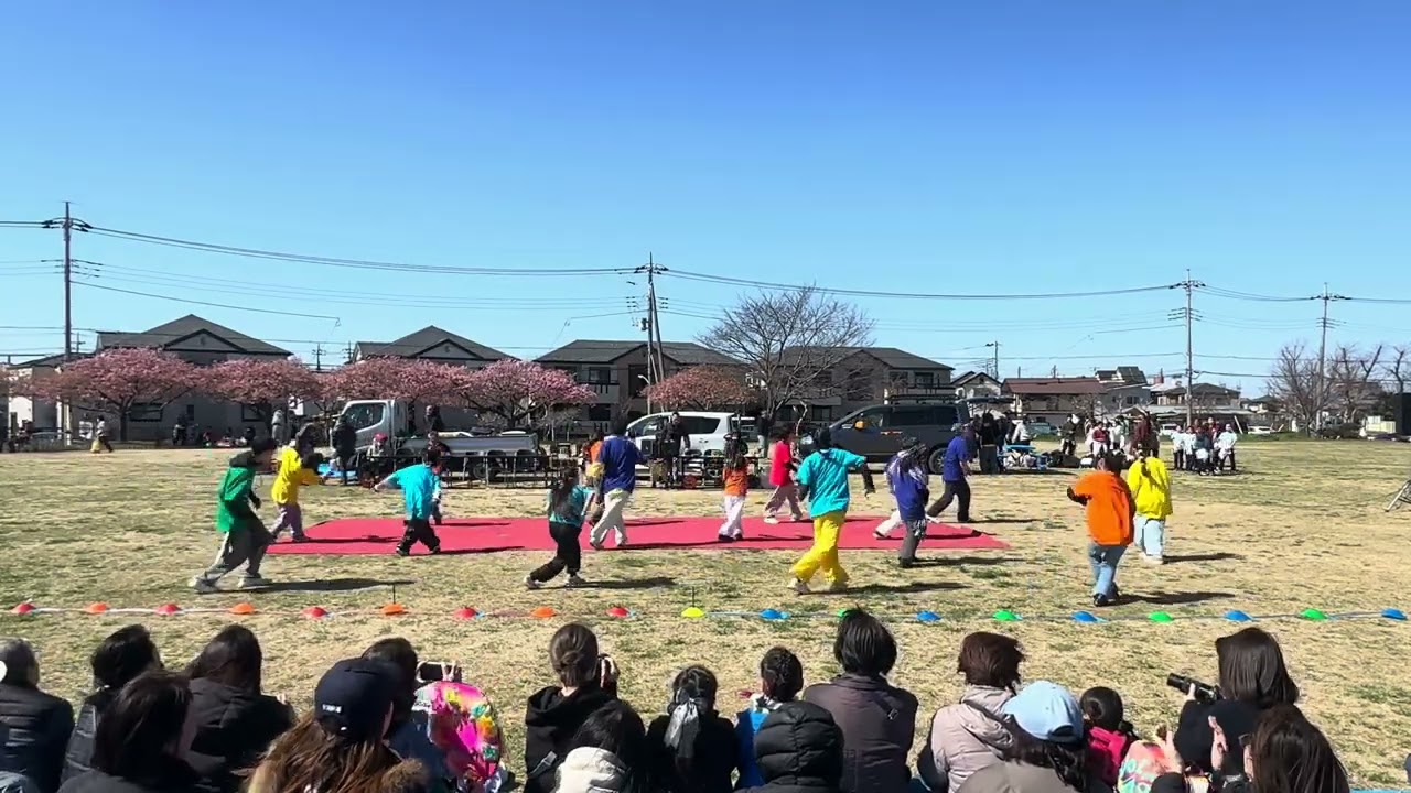 夢中（2026.03.08 西志津河津桜まつり）