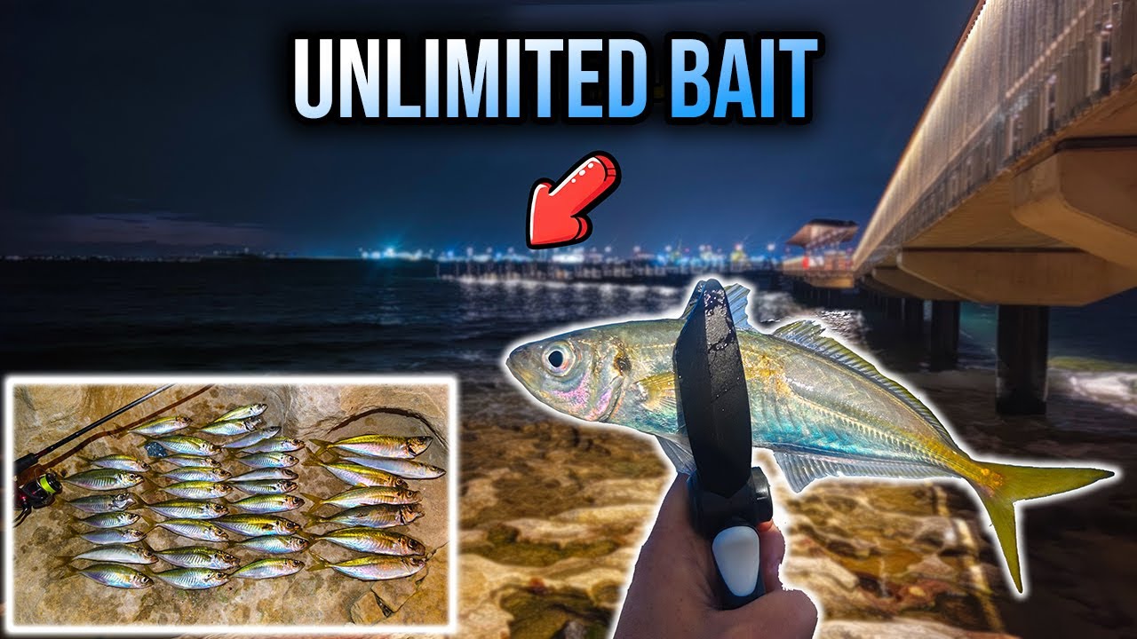If You’re Not Using This Technique, You’re Missing Out | Yakka Fishing
