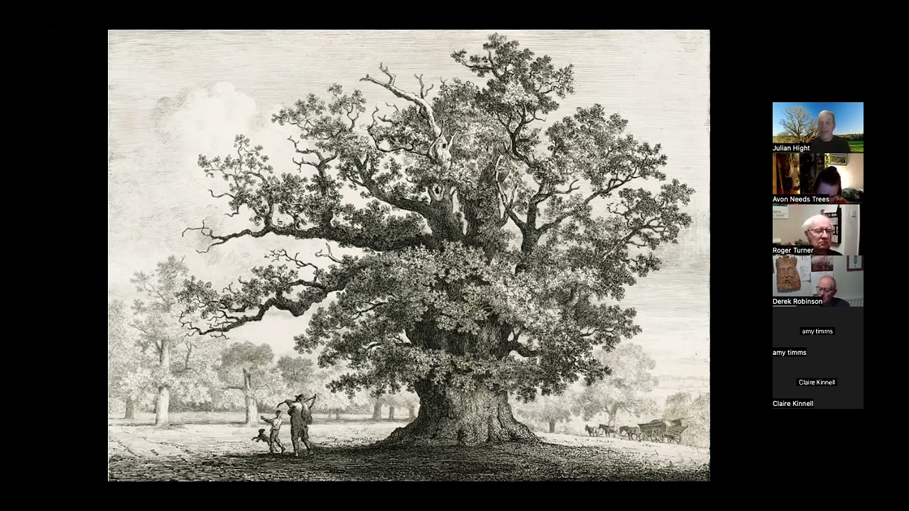 Julian Hight - Britain's Ancient Forest