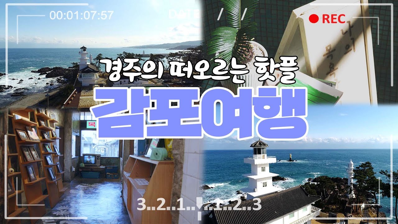 경주 감포 여행 코스 추천✨ 갬성과 재미를 둘 다 잡은 감포 여행은 어때??｜포항MBC 전국시대 220303 방송
