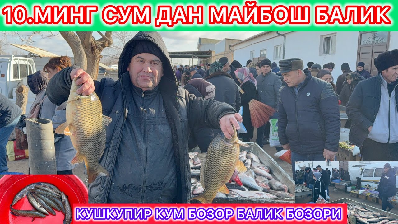 ХОРАЗМ КУШКУПИР КУМ БОЗОР БАЛИК БОЗОРИ 10 МИНГ ДАН МАЙБОШ БАЛИК 21-января 2026 г.