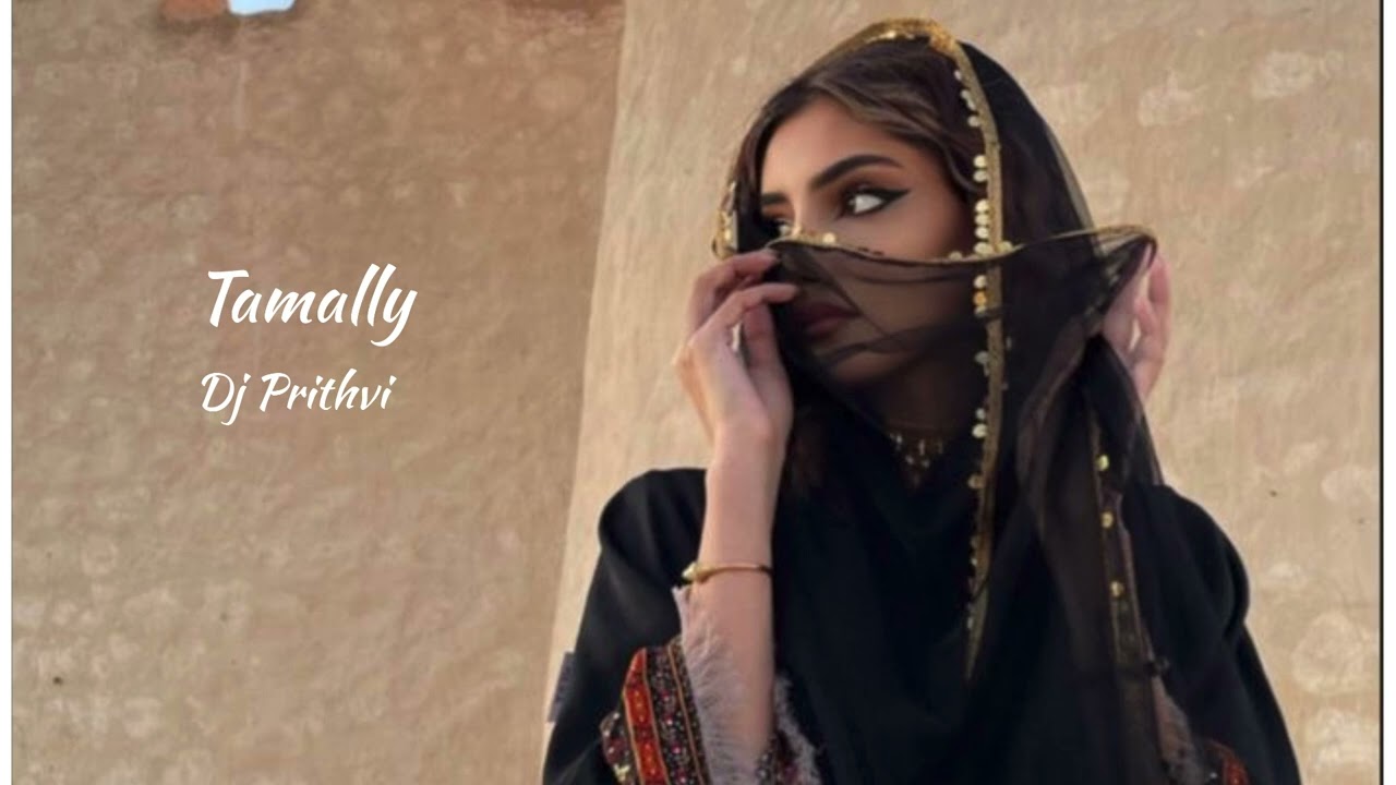 TAMALLY | DJ PRITHVI | Amr Diab | Amir Jamal