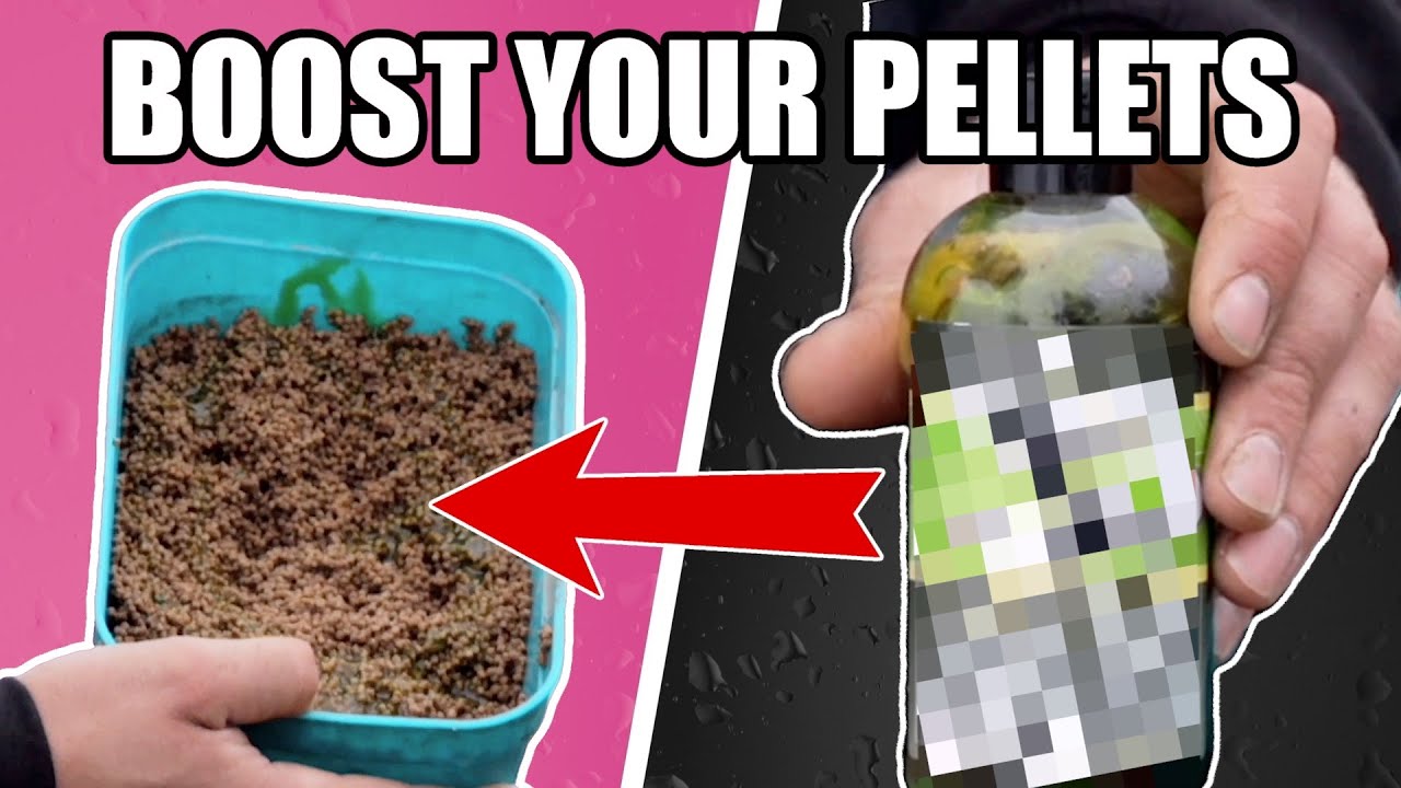 Directors Cut -  Catch More By Doing This. #matchfishing #fishing #carp #fishing