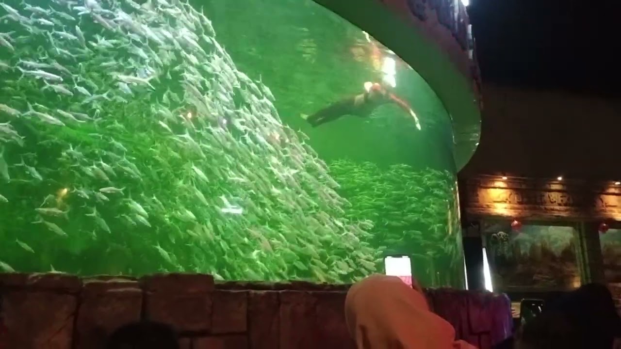 MERMAID SHOW OCEAN DREAM SAMUDRA ANCOL 