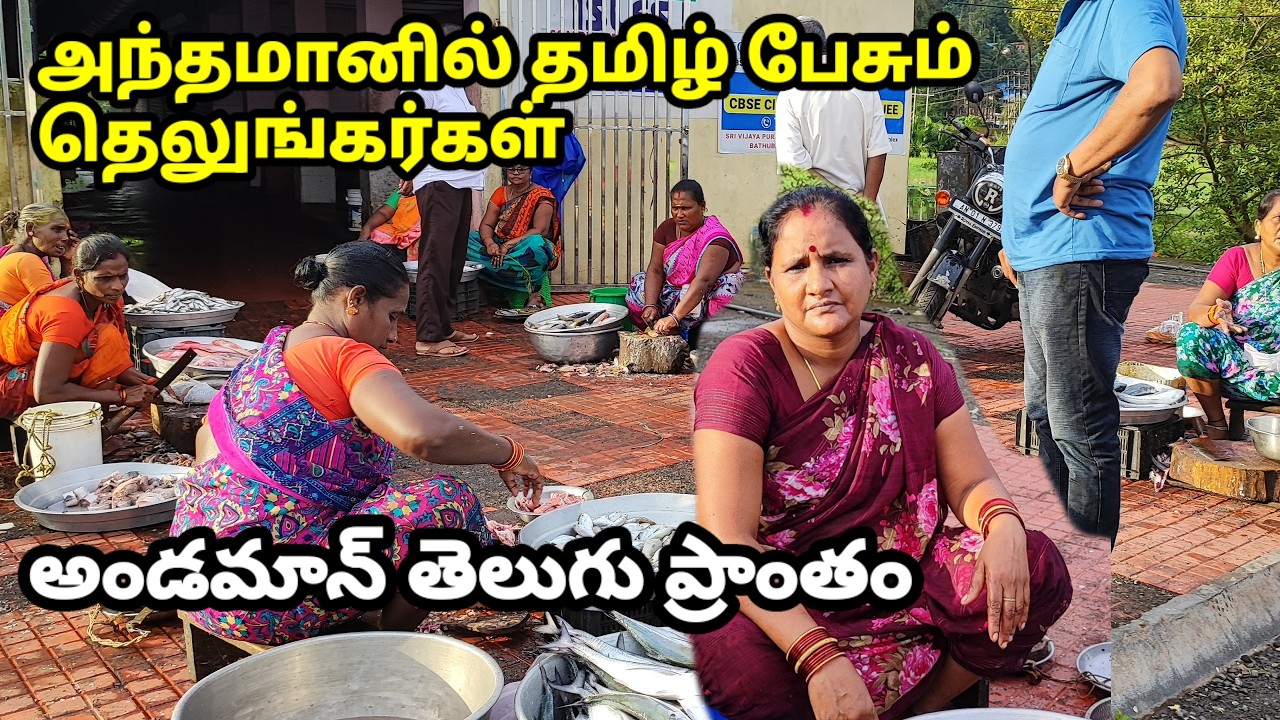 அந்தமான் தெலுங்கர் தமிழ் பாருங்க Andaman Telugu Area Visit 