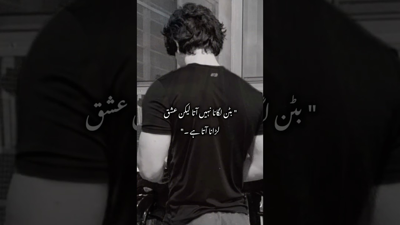 Roman Shah❤️Meerab||Lams e Junoon by Zoya Ali Shah||Urdu Novel lines||Novelines||#novels #urdunovel