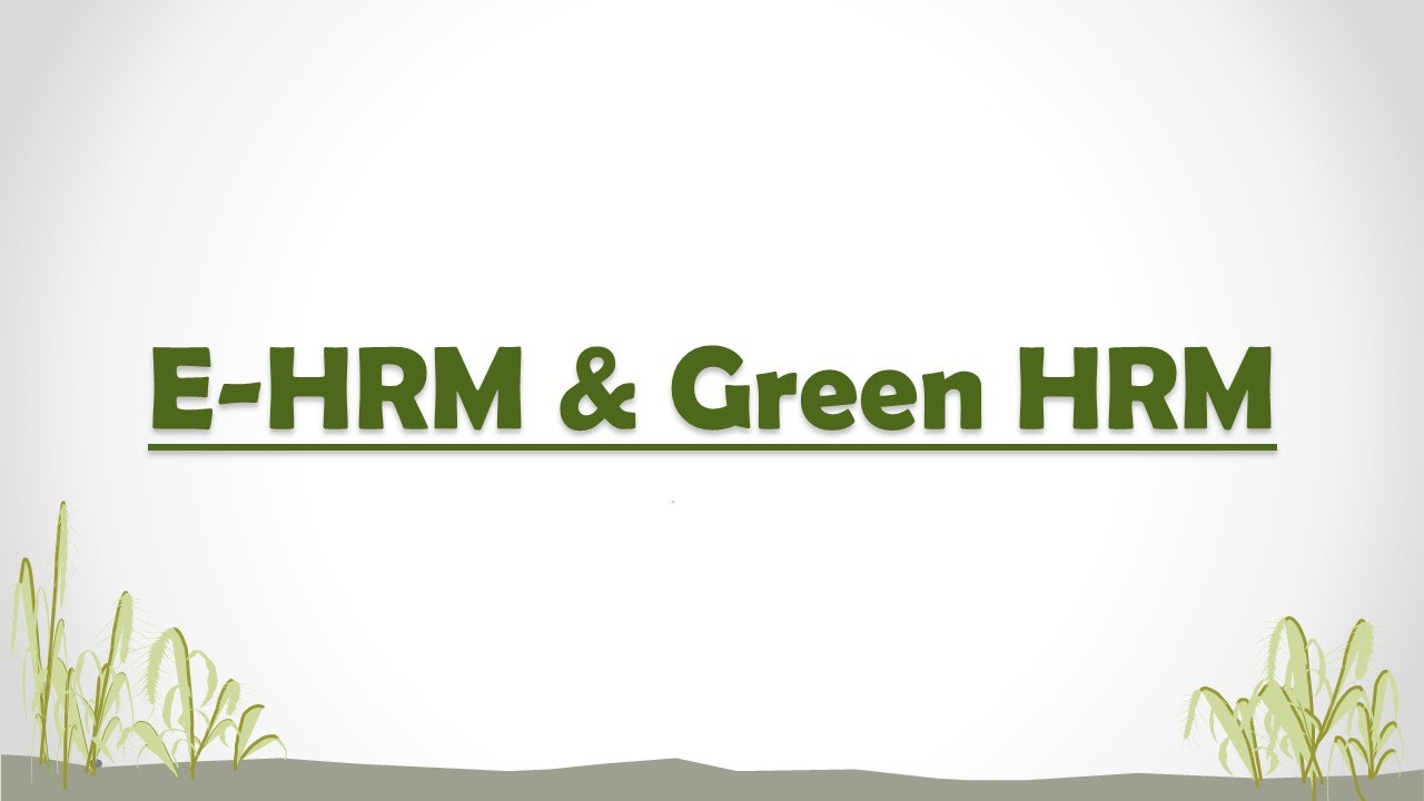 Часть 1 | CH - 21 | E-HRM и Green HRM | Для студентов бакалавриата по коммерции (P и H), NCWEB, SOL.