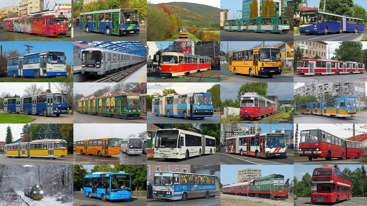 Мой 2025 год