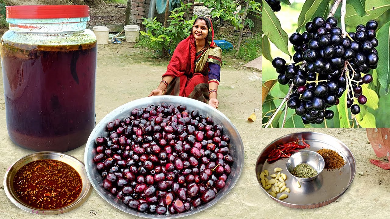 हमारे गांव में जामुन का सिरका ऐसे बनाया जाता है | Jamun ka sirka banane ki vidhi | Jamun Vinegar