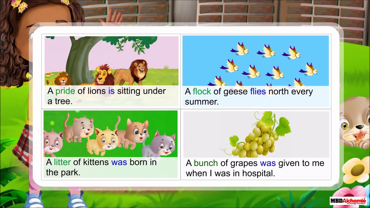 Nouns | Collective Nouns | Class 4 English