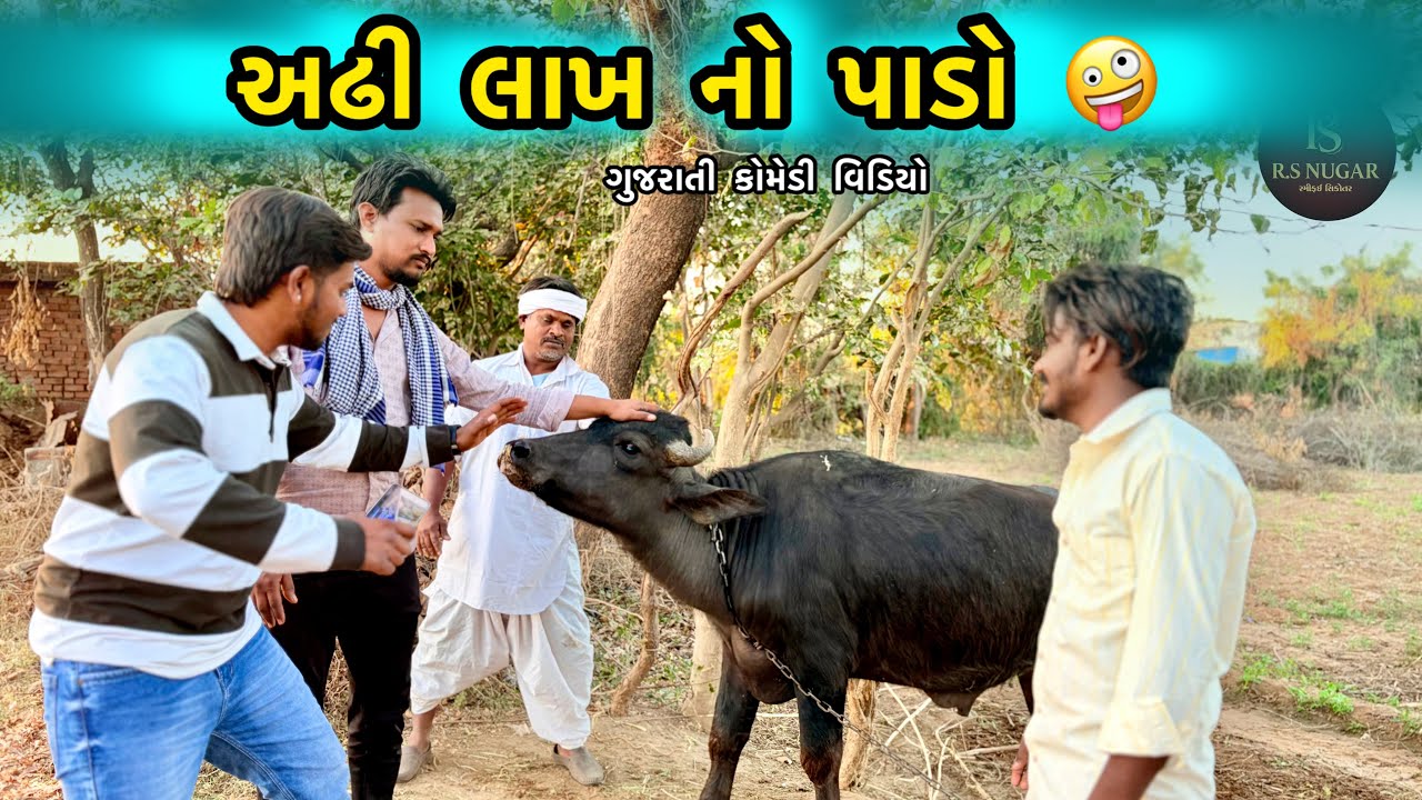 અઢી લાખ નો પાડો 🤪 | RS NUGAR | Gujrati Comedy Video | comedy Video | Funny Video 
