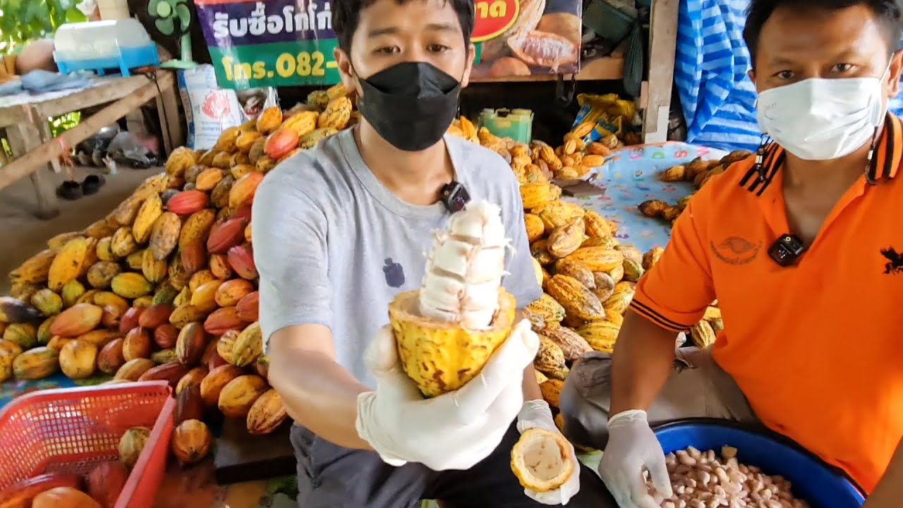 วิธีทำผลไม้ให้เป็นช็อคโกแลต สร้างรายได้งาม สอนแบบละเอียด | เอิร์ธสดชื่น สร้างอาชีพ