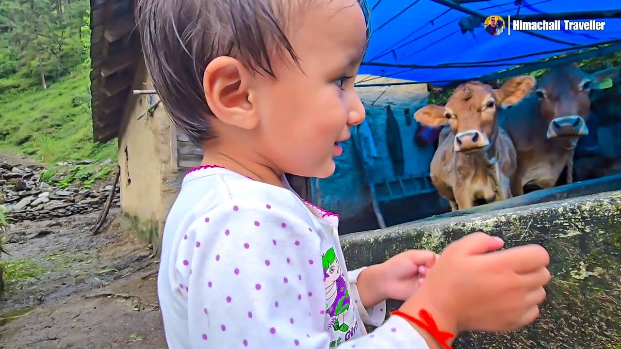 633 पहाड़ी गाँव का lifestyle 😱 Himachali Traveller 