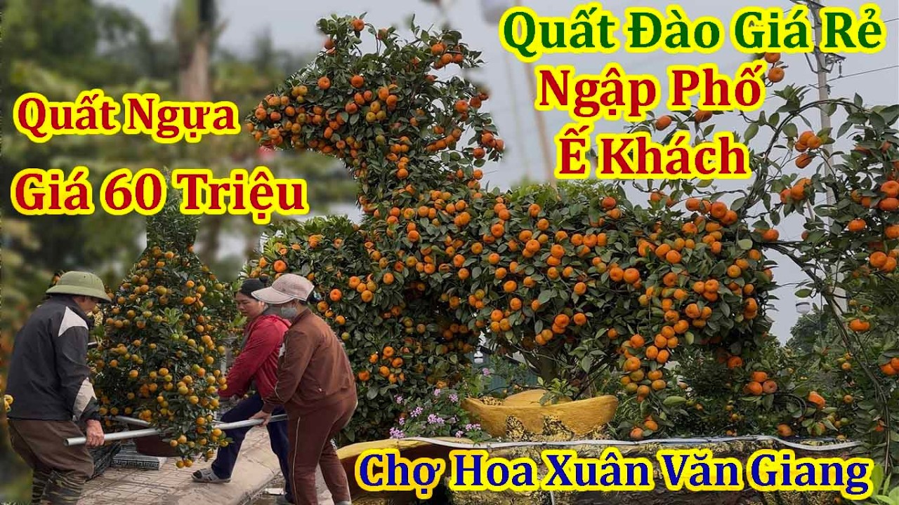 Choáng Cảnh Kinh Doanh Hoa Tết Ế Khách Chưa Từng Thấy - Xuân Bính Ngọ 2026