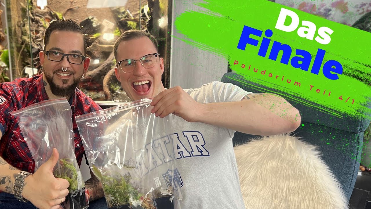 Pflanzen-Shoppingtour - Wir besuchen die Jungs von Jungle Leaves