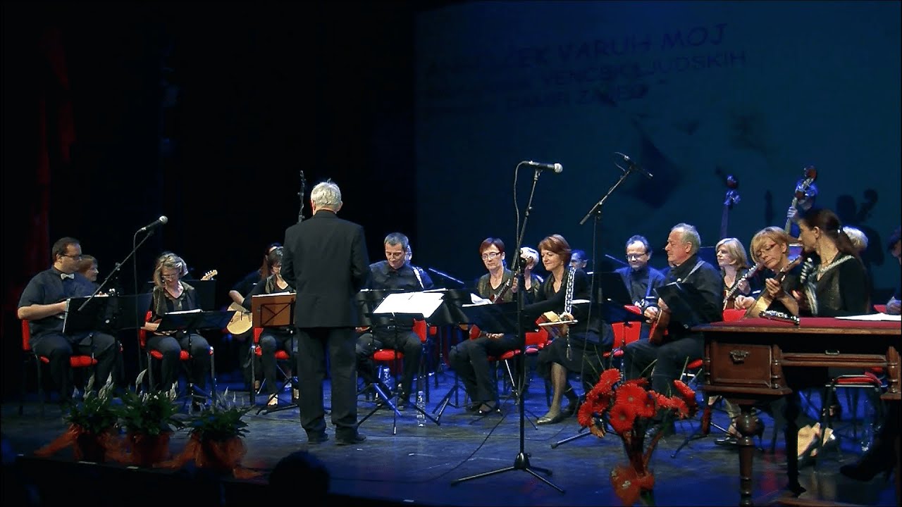 Tambura&scaron;ki orkester FD Kranj - koncert ob 10. letnici delovanja