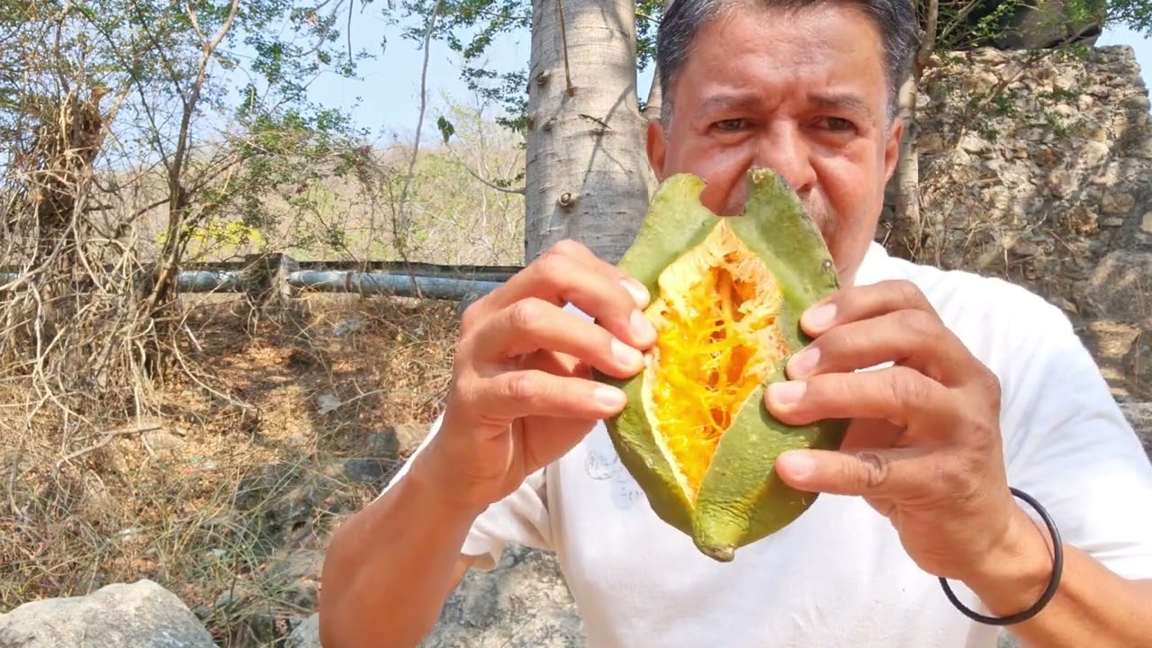 Y ustedes ya comieron El Bonete fruta silvestre guerrerense.