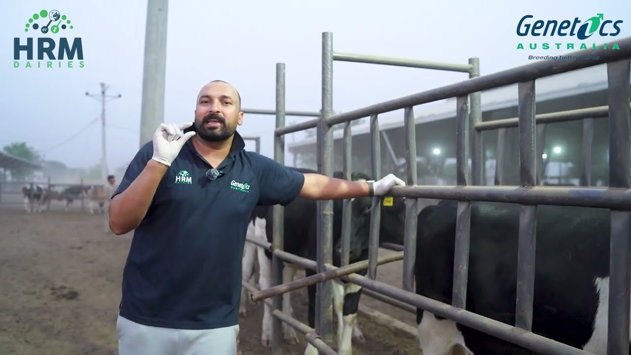 Live genomic testing at HRM Dairies Pvt Ltd | Watch Full tutorial with CEO Muddassar Hassan (Hass)