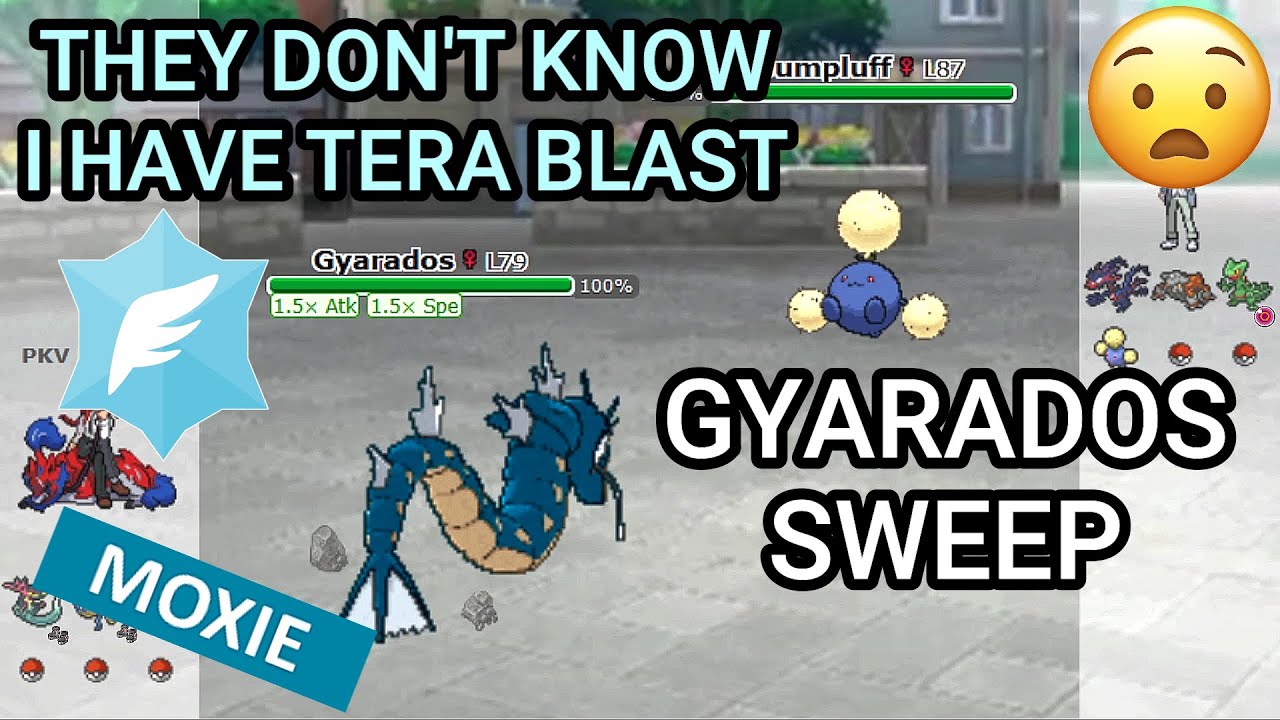 Moxie Gyarados Sweep! (Pokemon Showdown Random Battles) (High Ladder)