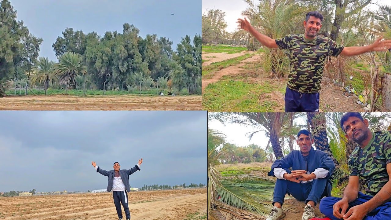 فلوك في المطر وقصص نباتات غريبة ظهرت