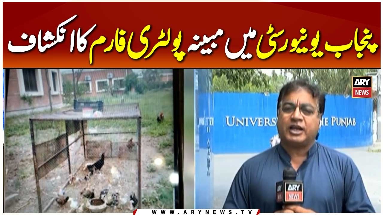 Punjab University Electrical Department Rocked by Alleged Poultry Farm Revelation