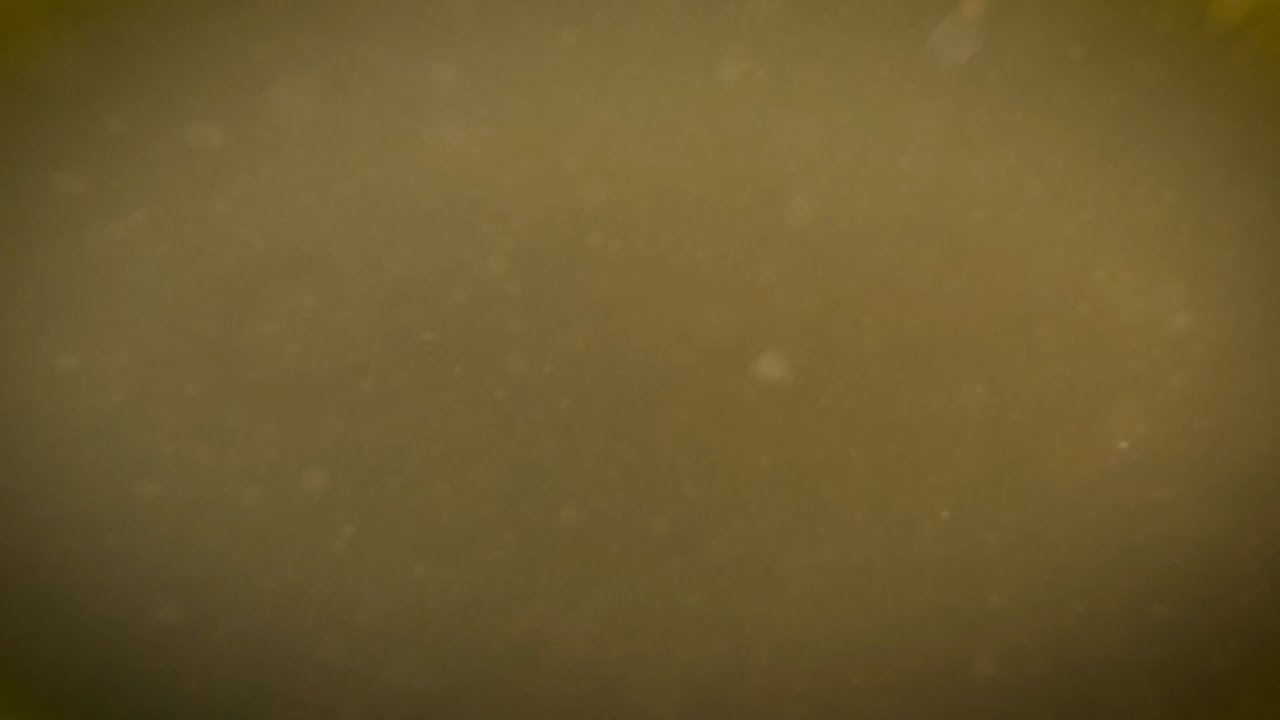 Cashmyra - rust
