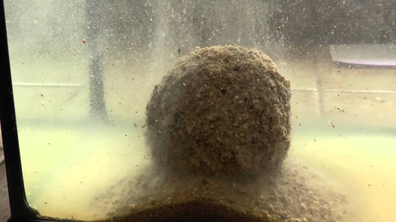TRAVAIL DE L'AMORCE NETPECHE ETANG DANS L'EAU