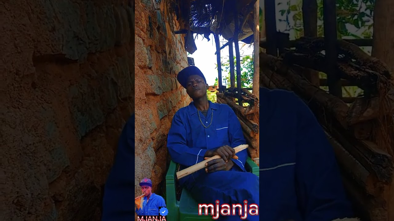 mjanja the cat😂😂😂🔥#mjanjamkamba #janjateam#1treanding #shorts @Wamusyishow