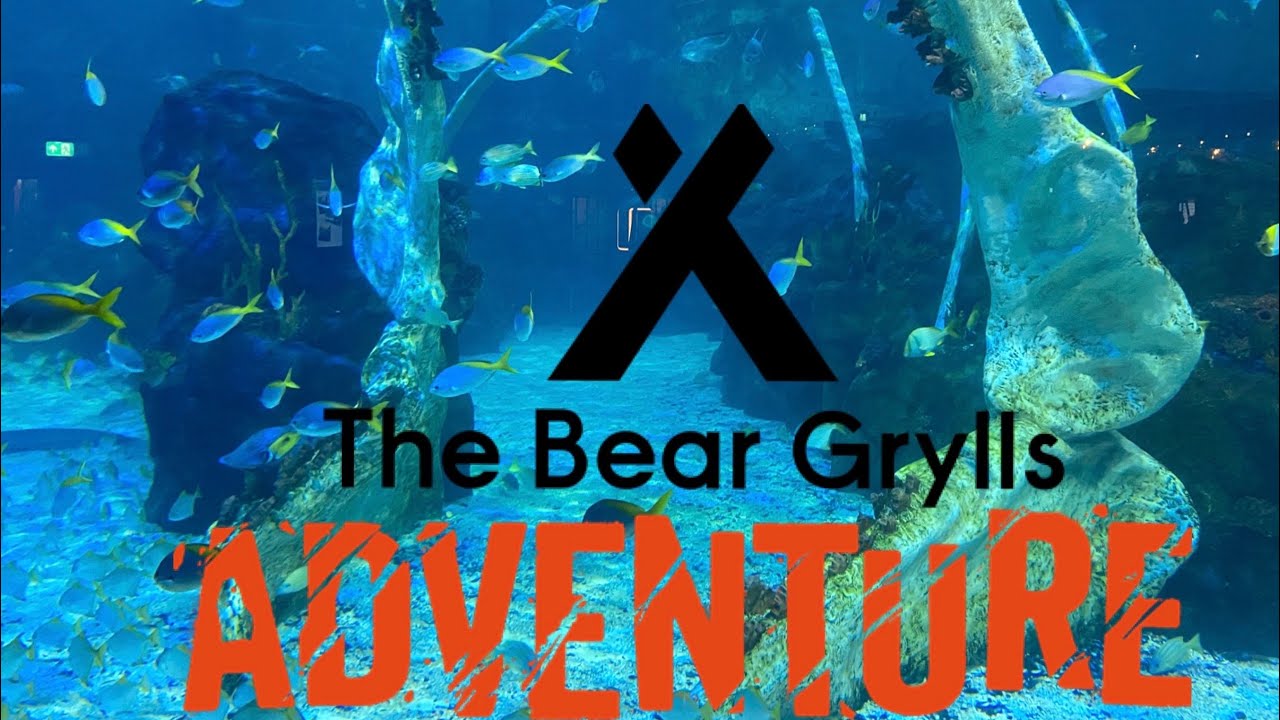 Shark Dive - Bear Grylls Adventure