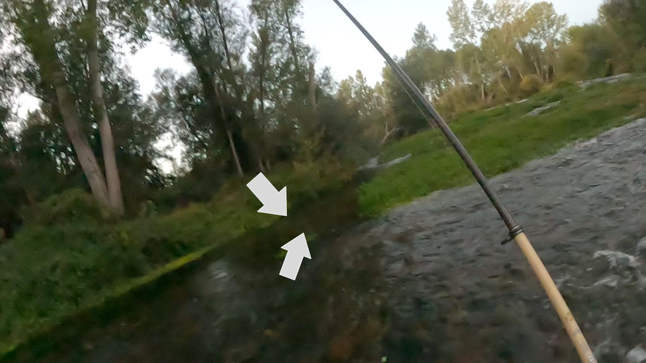 ¡Pesca de dos grandes truchas los últimos minutos de un sereno de agosto!!!