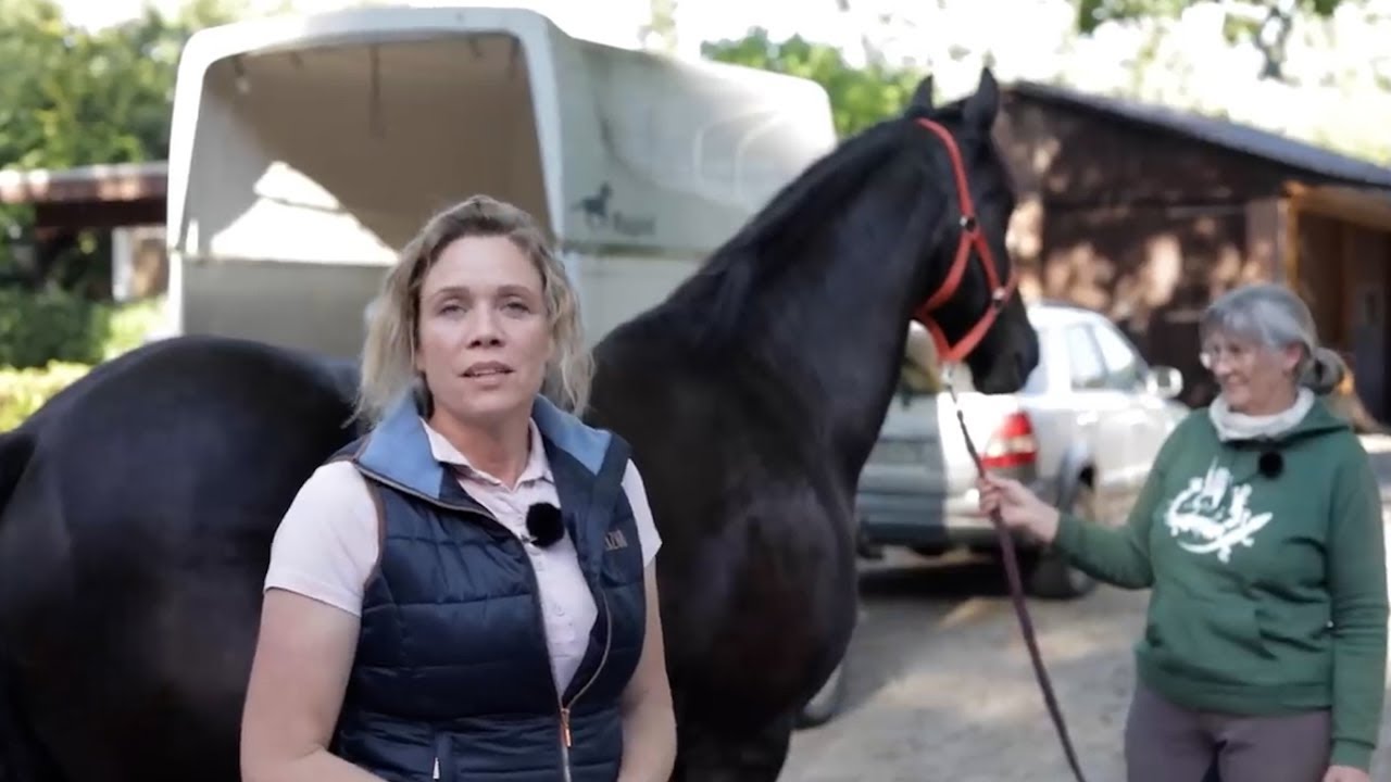 Horse is ridden with a Western saddle and has been lame ever since – what is the cause?