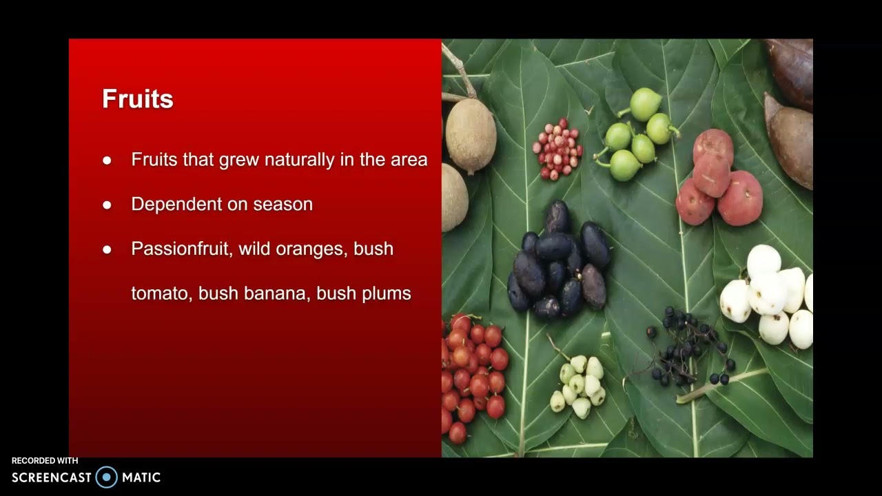 Australian aboriginal foods