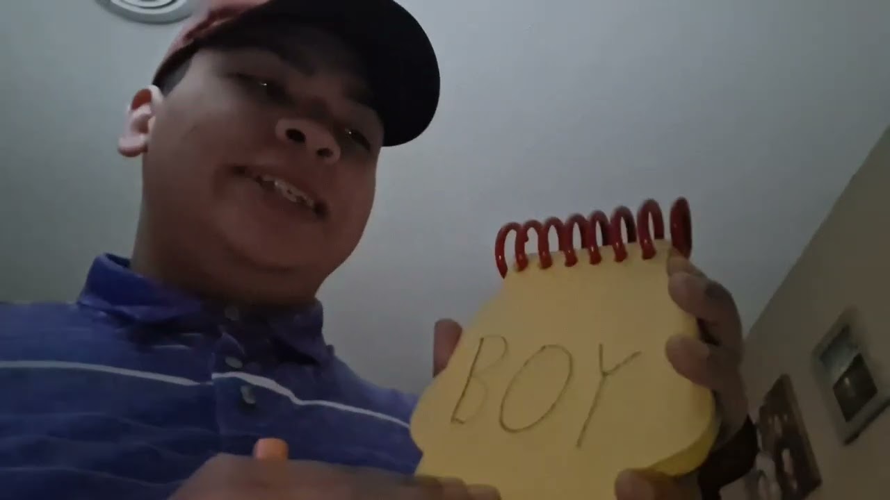 Blue's Clues Notebook November: Joe's Notebook 