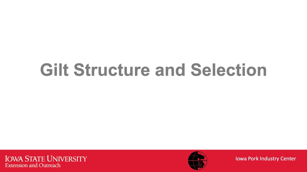 Gilt Development Series: Structure and Selection