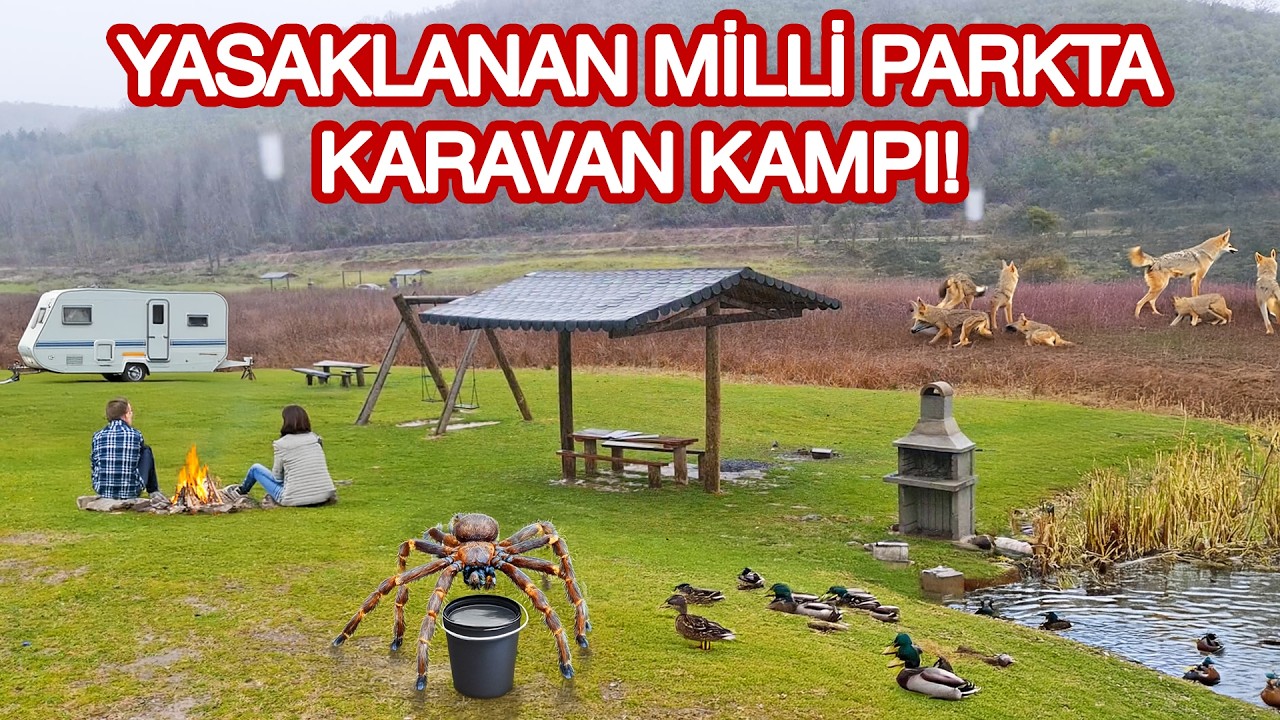 YASAKLANAN MİLLİ PARKTA KAMP! Fırtınada göl kenarı karavan kampı - Elit Fukara