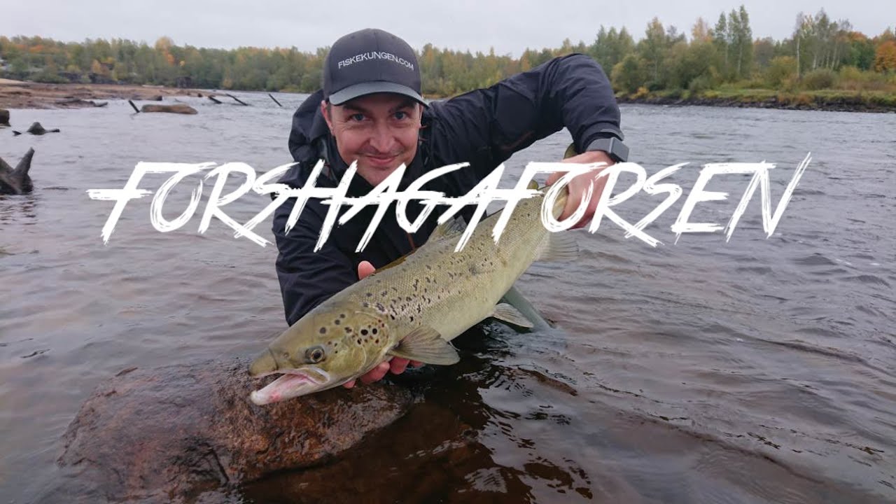 forshagaforsen 2018