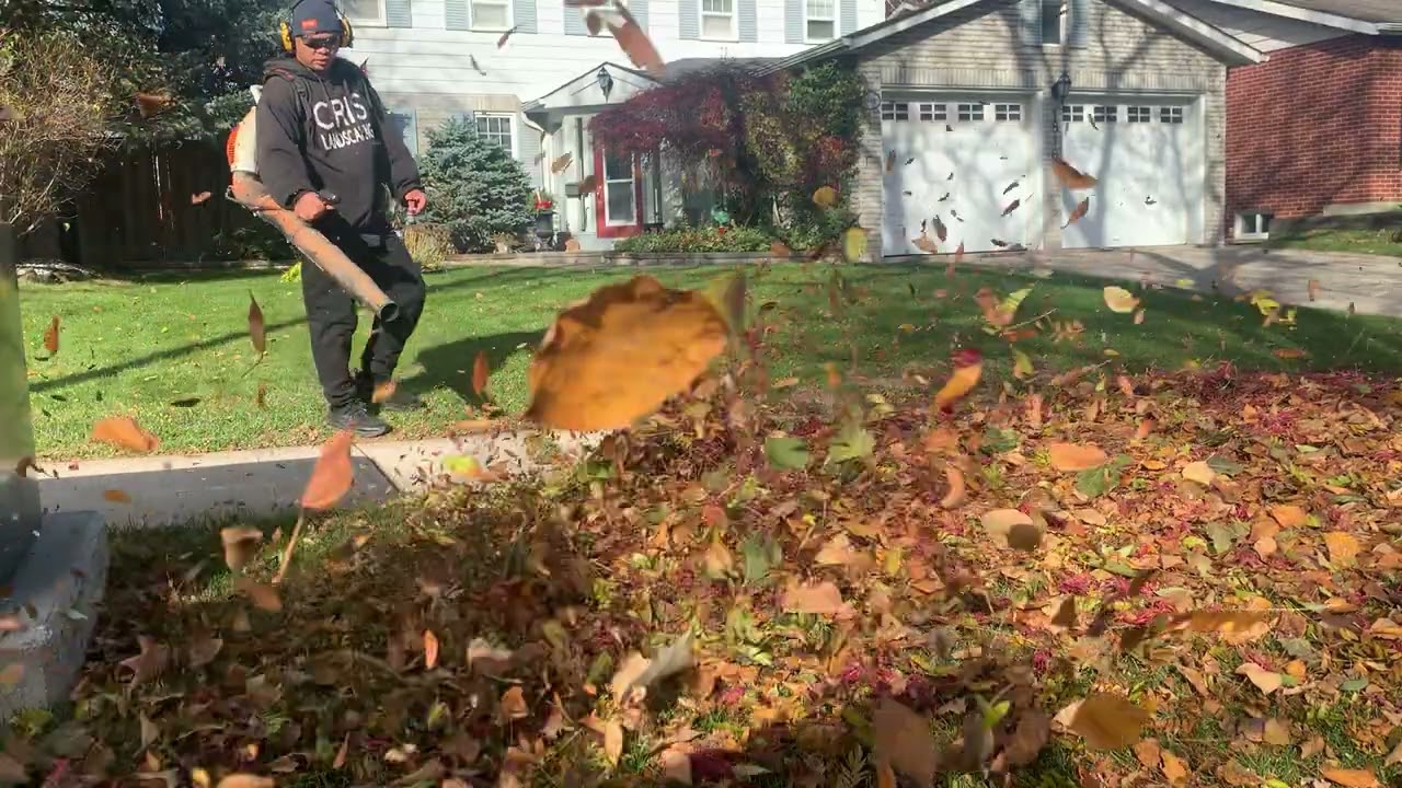 10 y/o BR600 still blowing leaves
