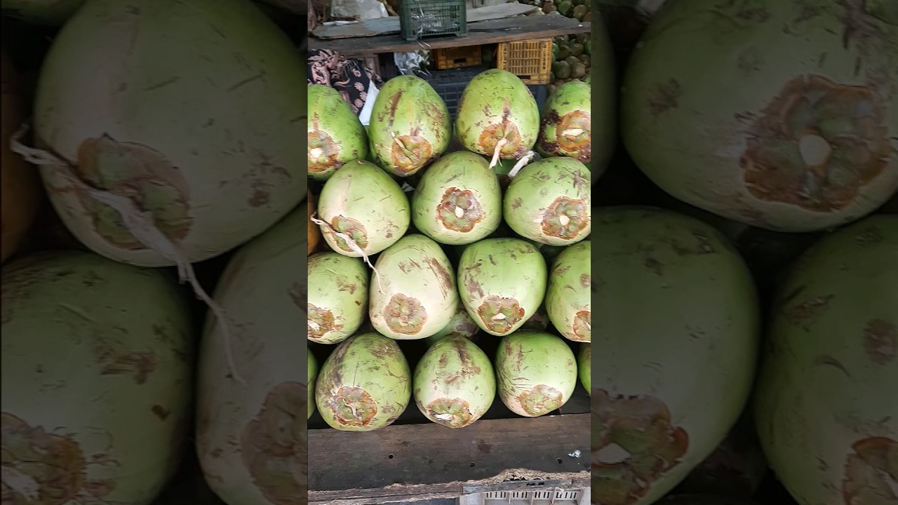 Fresh Coconut Water 😇🤗 Under microscope #shorts #experiment #microscope