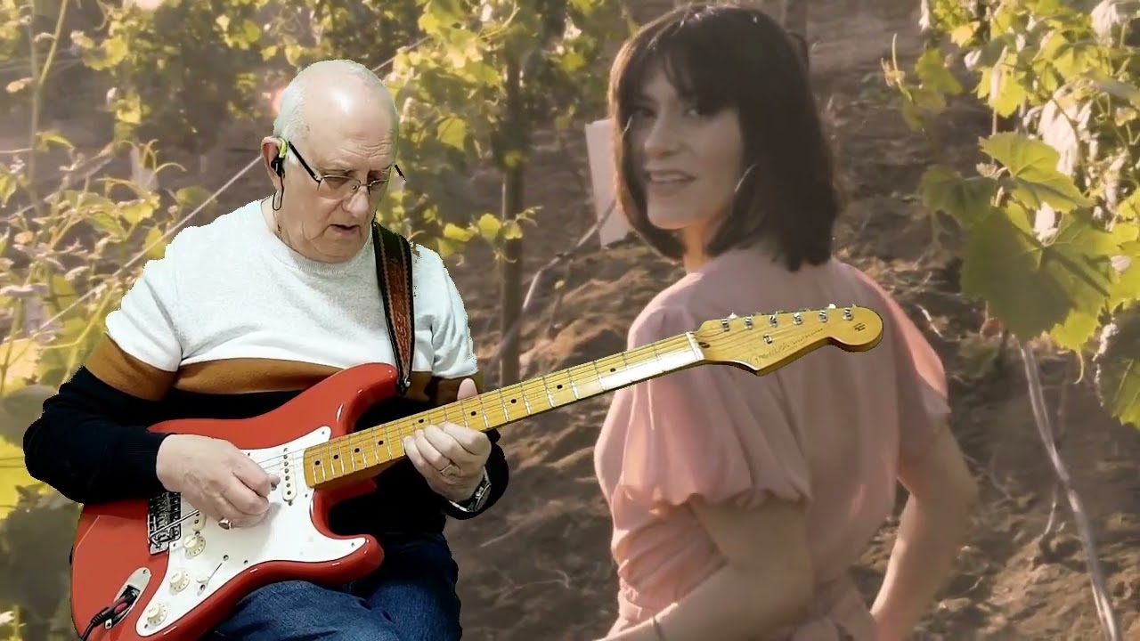 Today - John Denver - instrumental cover by Dave Monk