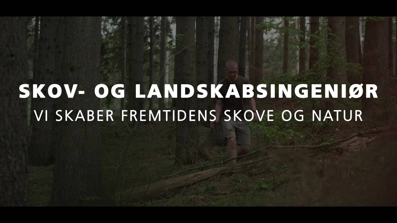 Skov- og landskabsingeniør – vi skaber fremtidens skove og natur