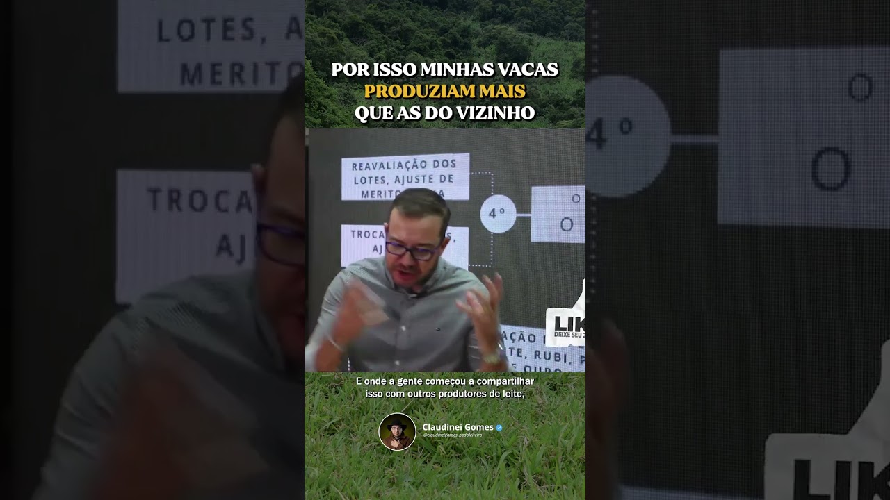 O BAL&Eacute; DAS VACAS