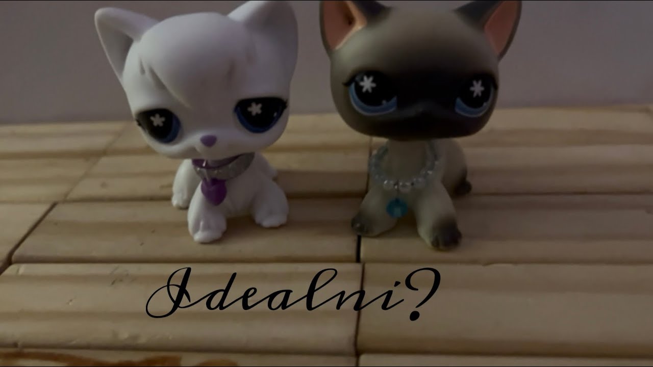 Psychoza: Idealni? ( sezon 2 odcinek 1)
