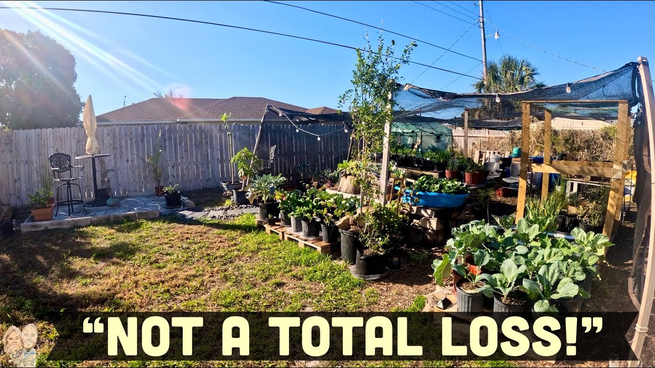 Winter Storm vs My Garden! What LIVED & What DIED (Zone 10B) I Learned My Lesson!