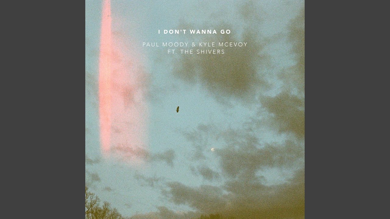 I Don't Wanna Go