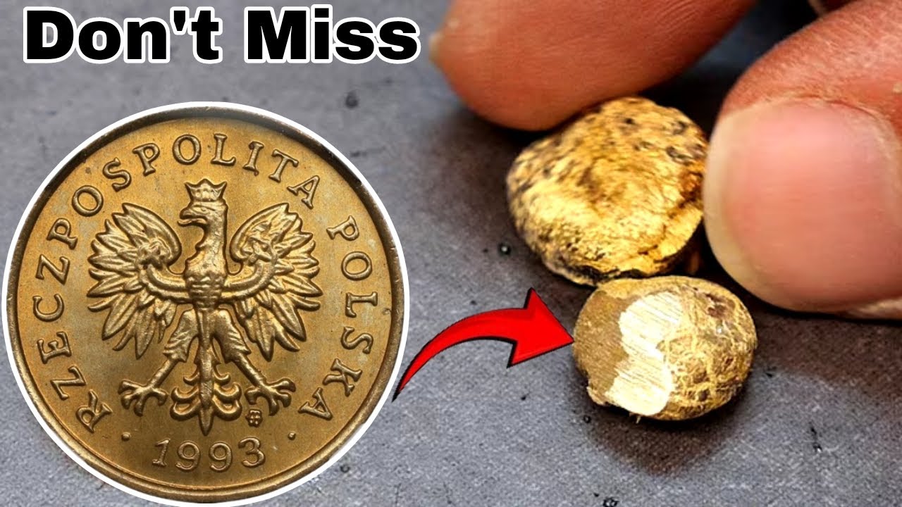 Million's -Dollar Discover Rare 5 Groszy 2001 Poland Coin worth You Need to See!